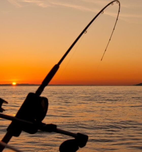 Salmon Fishing Pole