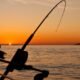 Salmon Fishing Pole