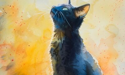 Paws on Canvas