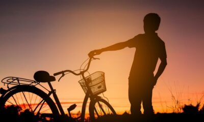 Life Is Like a Bicycle Quote